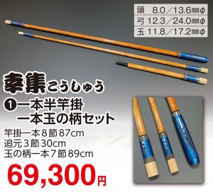 other3516