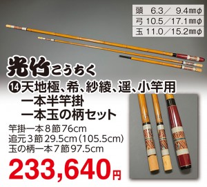 other3529